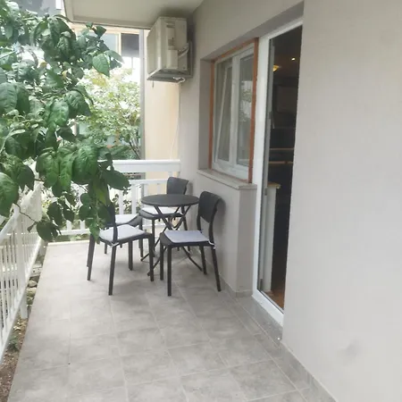 Petar - 20 Meters From The * Gradac (Split-Dalmatia)